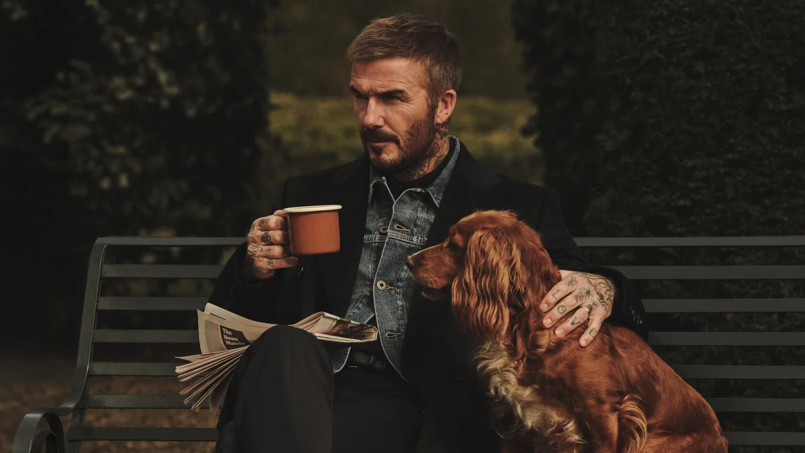 BOSS by Beckham von HUGO BOSS: David Beckham mit Jeansjacke und Spaniel auf einer Gartenbank